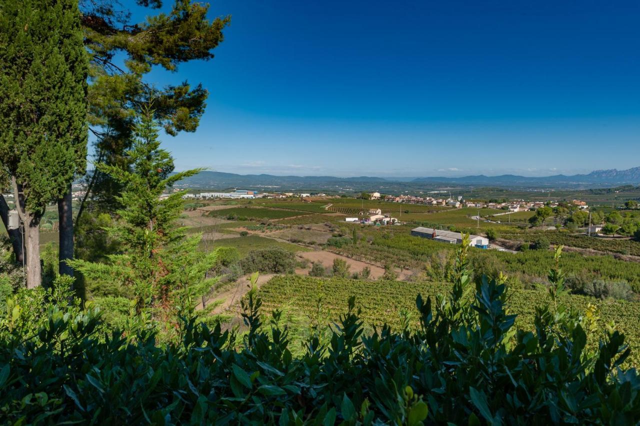 Cal Mestre Guest house